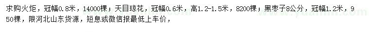 求購火炬、天目瓊花、黑棗子