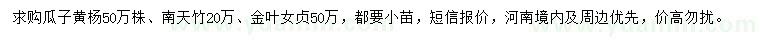 求購瓜子黃楊、南天竹、金葉女貞