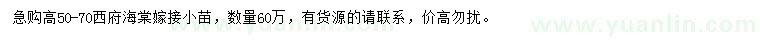 求購(gòu)高50-70公分西府海棠