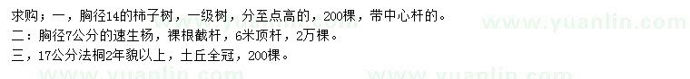 求購柿子樹、速生楊、法桐