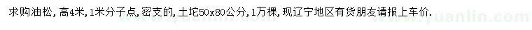 求購高4米油松