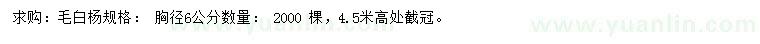 求購胸徑6公分毛白楊