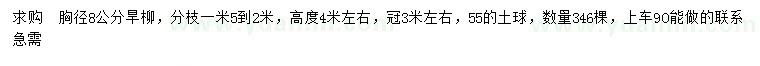 求購胸徑8公分旱柳