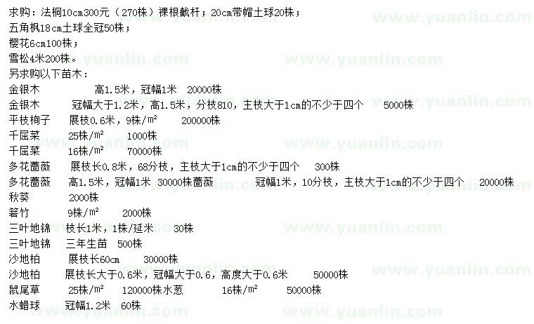求購法桐、五角楓、櫻花等