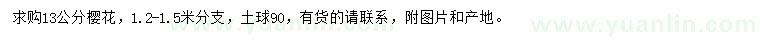 求購13公分櫻花