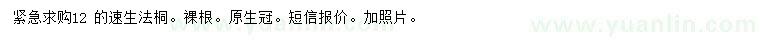 求購(gòu)12公分速生法桐