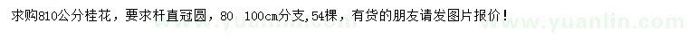 求購8、10公分桂花