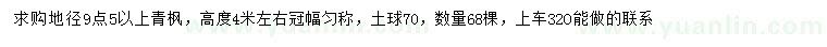 求購地徑9.5公分以上青楓