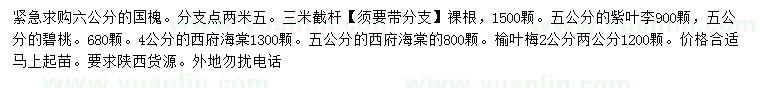 求購(gòu)國(guó)槐、紫葉李、碧桃等