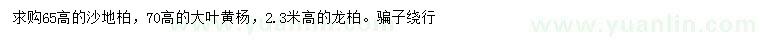 求購(gòu)高65公分沙地柏、70公分大葉黃楊