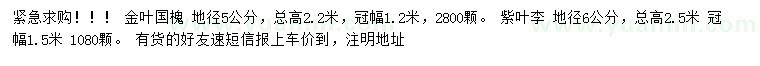 求購(gòu)地徑5公分金葉國(guó)槐、6公分紫葉李