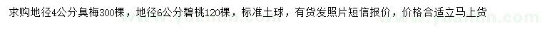 求購地徑4公分臭梅、6公分碧桃