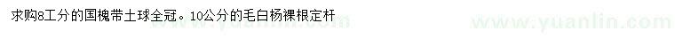 求購(gòu)8公分國(guó)槐、10公分毛白楊