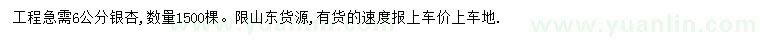 求購6公分銀杏