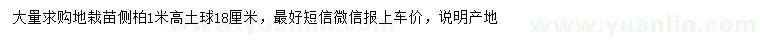 求購高1米側(cè)柏