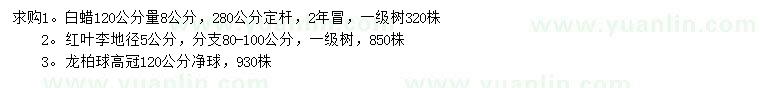 求購白蠟、紅葉李、龍柏球
