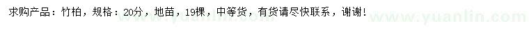 求購20公分竹柏
