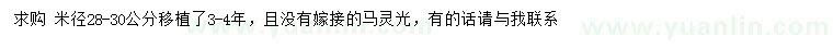 求購(gòu)米徑28-30公分馬靈光