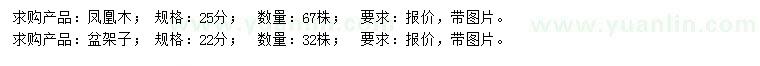 求購25公分鳳凰木、22公分盆架子