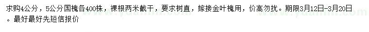 求購4、5公分國槐