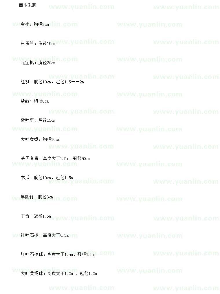 求購金桂、白玉蘭、元寶楓等