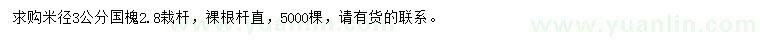 求購米徑3公分國槐