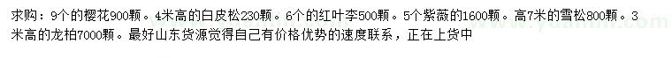 求購櫻花、白皮松、紅葉李等