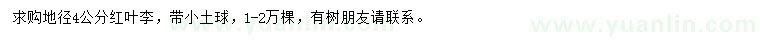 求購(gòu)地徑4公分紅葉李