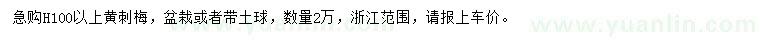 求購(gòu)高100公分以上黃刺梅
