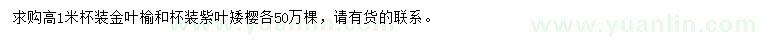 求購高1米金葉榆、紫葉矮櫻