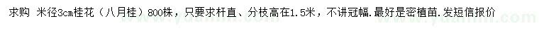 求購米徑3公分桂花