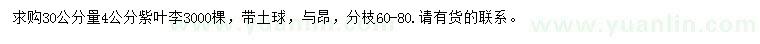 求購30公分量4公分紫葉李
