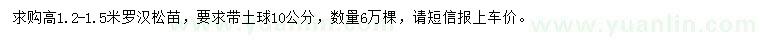 求購(gòu)高1.2-1.5米羅漢松