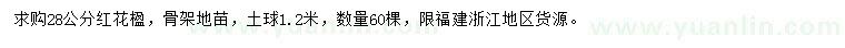求購28公分紅花楹