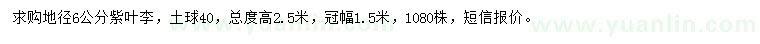 求購地徑6公分紫葉李