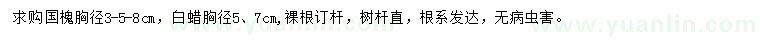 求購(gòu)胸徑3、5、8公分國(guó)槐