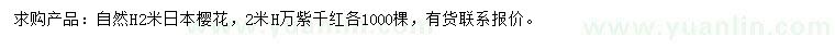 求購(gòu)高2米日本櫻花
