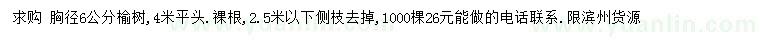 求購胸徑6公分榆樹