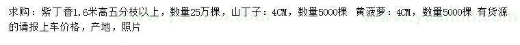 求購紫丁香、山丁子、黃菠蘿