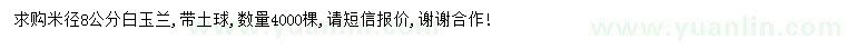 求購米徑8公分白玉蘭