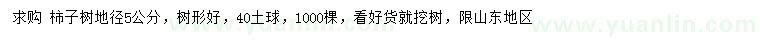 求購(gòu)地徑5公分柿子樹(shù)
