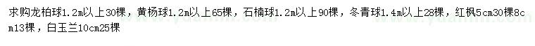 求購龍柏球、黃楊球、石楠球等