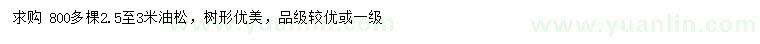 求購2.5-3米油松