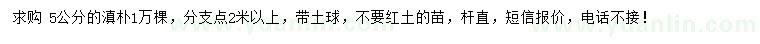 求購5公分滇樸