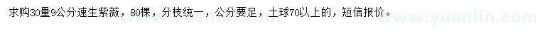 求購30量9公分速生紫薇