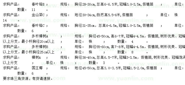 求購垂葉榕、金山葵、垂葉榕等