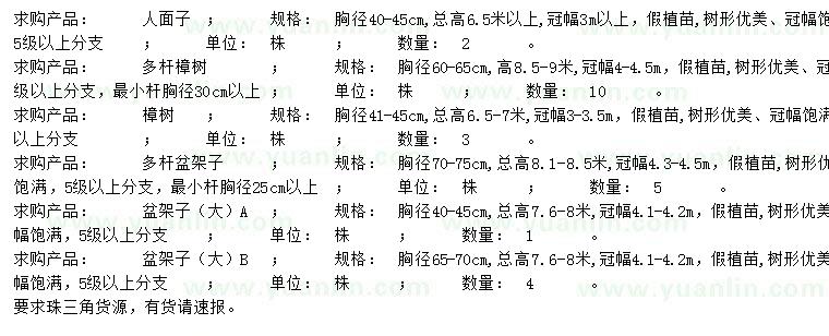 求購人面子、樟樹、盆架子等