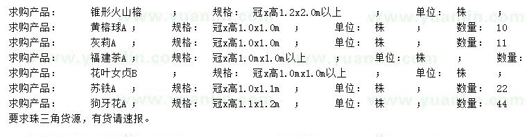 求購(gòu)火山榕、黃榕球、灰莉等