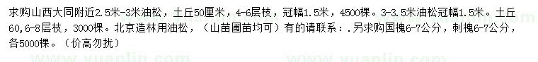 求購油松、國槐、刺槐