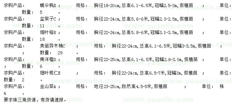 求購幌傘楓、盆架子、細(xì)葉榕等